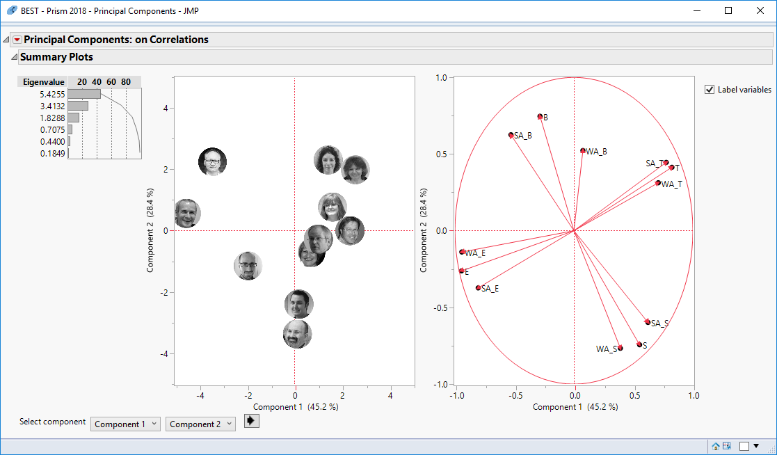 PCA Images